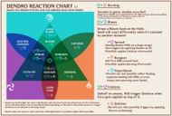 A great primer of what to expect (Image via u/Trass84)